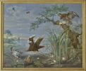Aigles s'abattant sur des canards, image 2/6