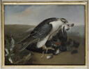 Faucon dévorant un corbeau, image 1/2