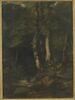 Intérieur de forêt avec braconniers, image 1/3