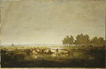 Un marais dans les Landes, image 1/2