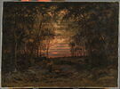Coucher de soleil dans la forêt, image 1/3
