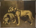Bouledogue et terrier écossais., image 1/2