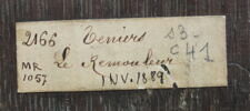 Le Rémouleur, image 3/6