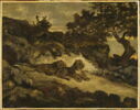 Lions près de leur antre, image 4/4