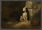 Chien basset noir et blanc au chenil., image 1/3