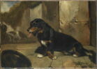 Chien basset., image 1/2