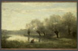 Saulaie à la pointe d'un marais., image 1/3