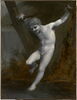 Jeune Zéphyr se balançant au-dessus de l'eau, image 1/3
