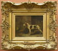 Chiens brifauts., image 2/3