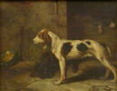 Chiens brifauts., image 3/3
