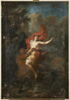 L'Enlèvement de Déjanire par le centaure Nessus, image 1/2