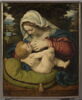 La Vierge allaitant l'Enfant, dit La Vierge au coussin vert, image 3/12