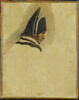 Tête d'homme coiffé d'un bicorne. Etude, image 1/2