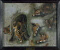 Étude d'un renard, image 2/4