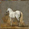 Cheval blanc, image 5/5