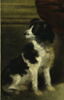 Portrait : frère et soeur, image 2/3