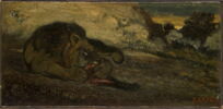 Lion dévorant sa proie, image 1/5