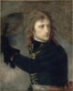 Bonaparte au pont d'Arcole (17 novembre 1796), image 3/3