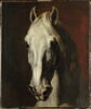 Tête de cheval blanc, image 1/3