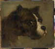 Tête de bouledogue, image 3/3
