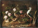 Nature morte avec des cailles, un hibou et une échasse blanche, image 3/3