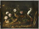 Nature morte avec des cailles, un hibou et une échasse blanche, image 1/3