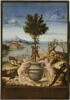 Portrait d'homme (Giulio Mellini ?). Au revers, Paysage avec un oranger sur lequel sont accrochés deux écussons dont l'un porte des armoiries qui ont été identifiées avec celles de Giulio Mellini, image 2/6