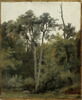 Au Bas-Bréau, à Chailly, image 1/2