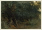 Tronc d'arbre, racines et feuilles, image 3/3