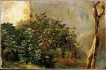 Étude de plantes, image 3/3