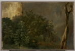 Étude de plantes, image 1/3