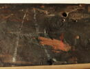 Nature morte aux poissons, image 16/21
