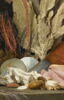 Panaches de mer, lithophytes et coquilles., image 3/7