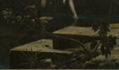 Le Soir, dit aussi Les Illusions perdues, image 6/8