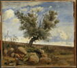 Vue prise à Vallekilde (Danemark).Saule sur un amoncellement de pierres, image 4/4