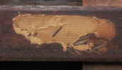 Paysage, image 10/15