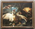 Canard de Barbarie et renard, image 3/25