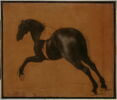 Cheval noir galopant, image 7/7