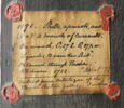 Fleurs dans une coupe en verre, coquillages, papillons et sauterelle, image 3/5