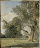 Vue du Prater à Vienne, avec arbre à droite, image 2/3