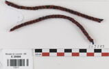 ceinture ; fragments ; fragments, image 1/2