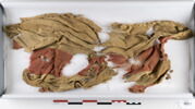 tissu ; fragments, image 1/2