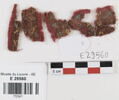 bande décorative d'habillement ; fragments, image 1/2