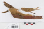 bande décorative d'habillement ; fragment, image 1/2