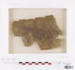manteau ; fragment, image 1/2