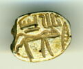 scarabée, image 1/2