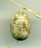scarabée détaillé, image 2/2