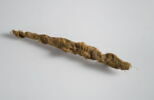 momie de crocodile, image 3/3