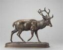 Cerf qui marche n°1, image 1/2