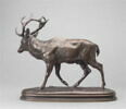 Cerf qui marche n°1, image 2/2